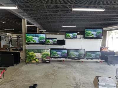 Elberton Sport & Pawn