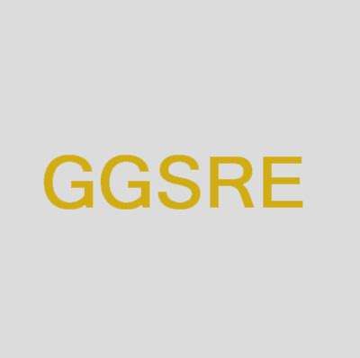 Georgia Gold And Silver Refinery And Exchange Inc