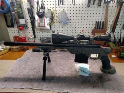 Grizzly Guns